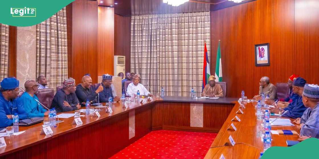 Dangot, Tinubu, Elumelu, Shettima, Tinubu's economic team Dangot, Tinubu, Elumelu, Shettima, Tinubu's economic team