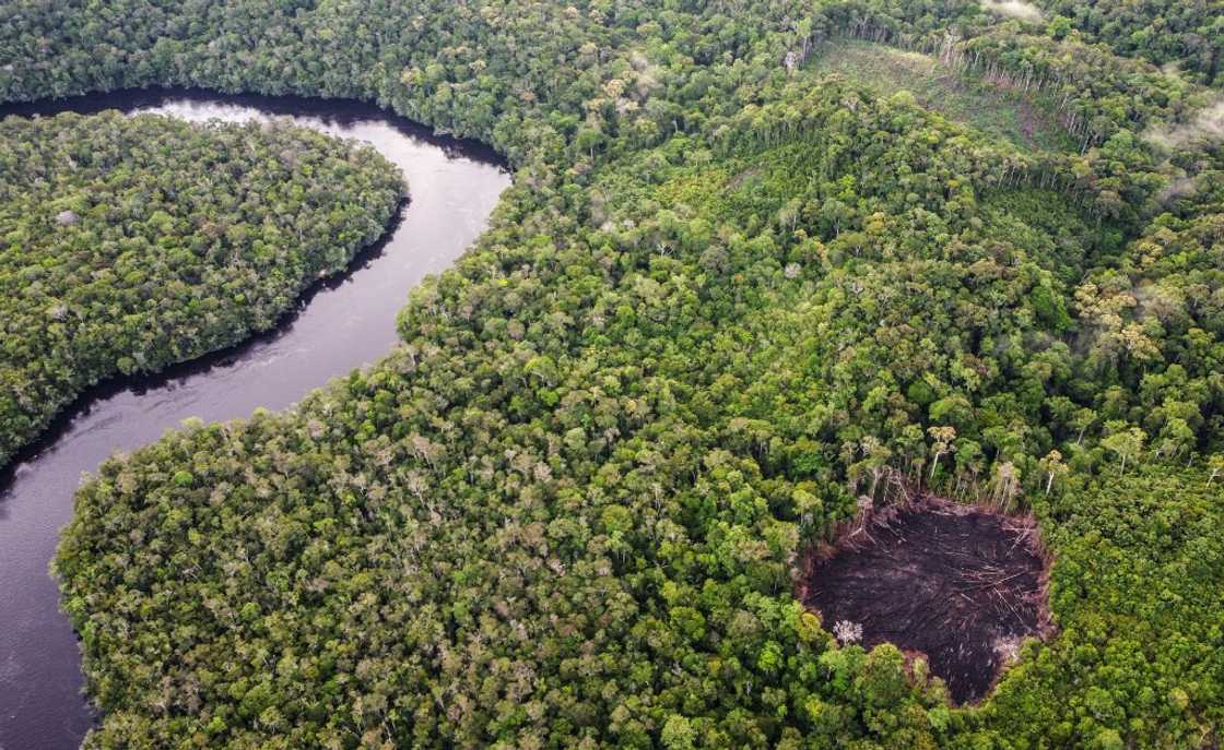 New UN rules would give local communities more power to object to carbon credit projects New UN rules would give local communities more power to object to carbon credit projects