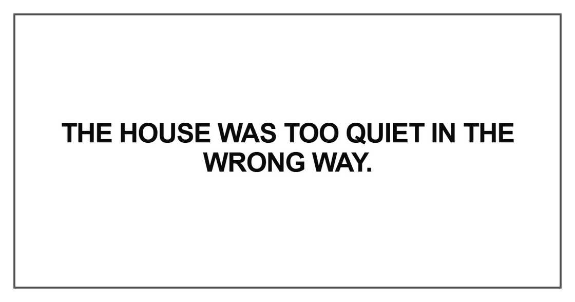 The house was too quiet in the wrong way