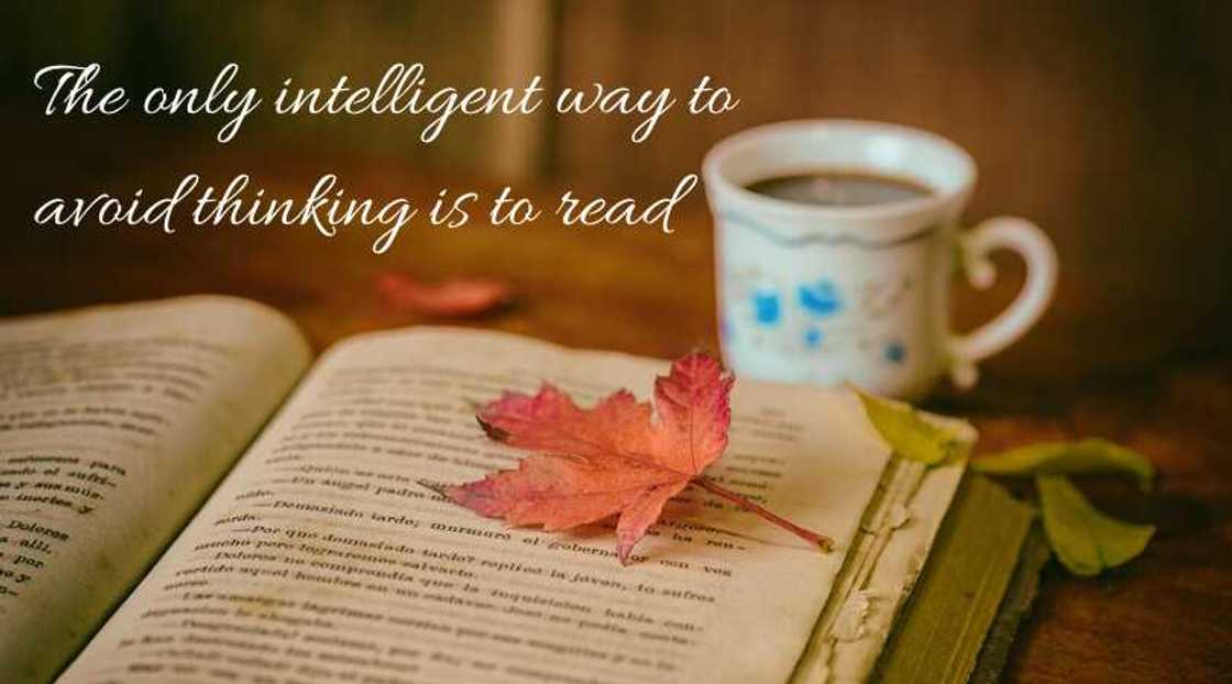 funny reading quotes funny reading quotes