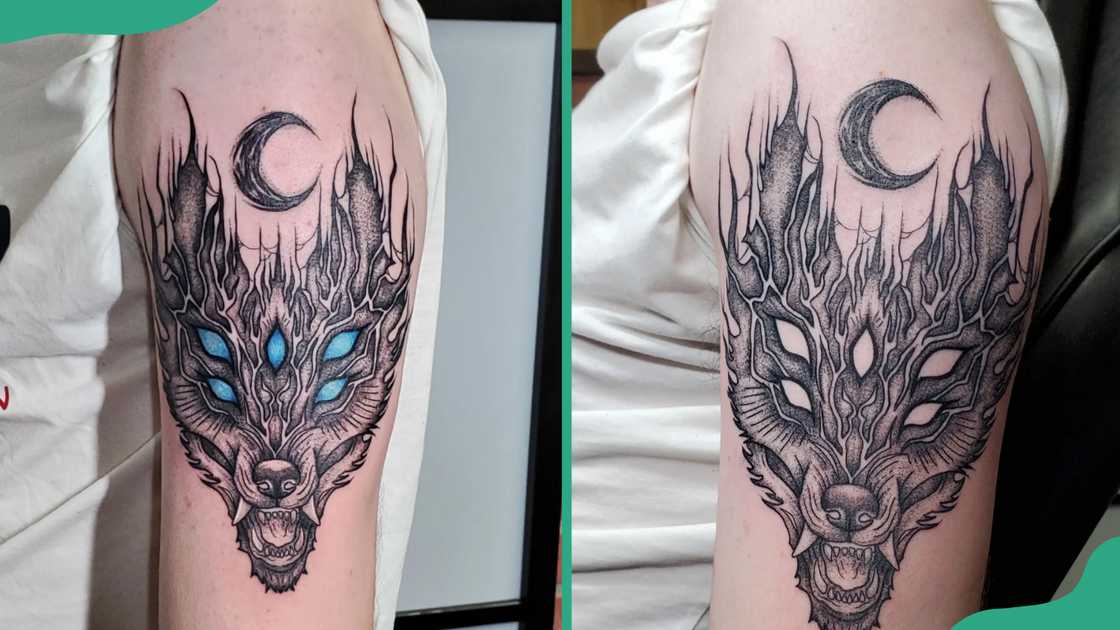 Glowing eyes Fenrir Glowing eyes Fenrir