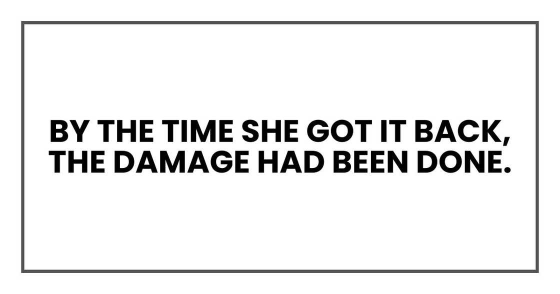 By the time she got it back, the damage had been done. By the time she got it back, the damage had been done.