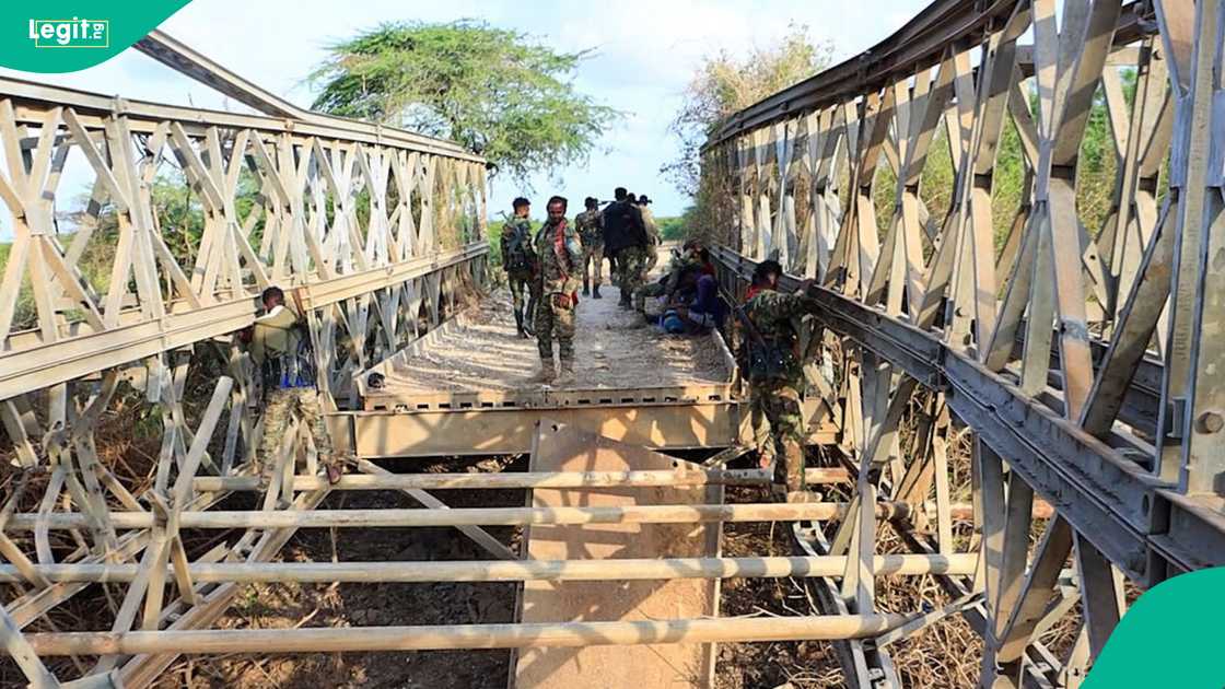 Rising terrorist violence in Africa placed Mali, Niger, Nigeria and Somalia among the hardest‑hit nations. Rising terrorist violence in Africa placed Mali, Niger, Nigeria and Somalia among the hardest‑hit nations.