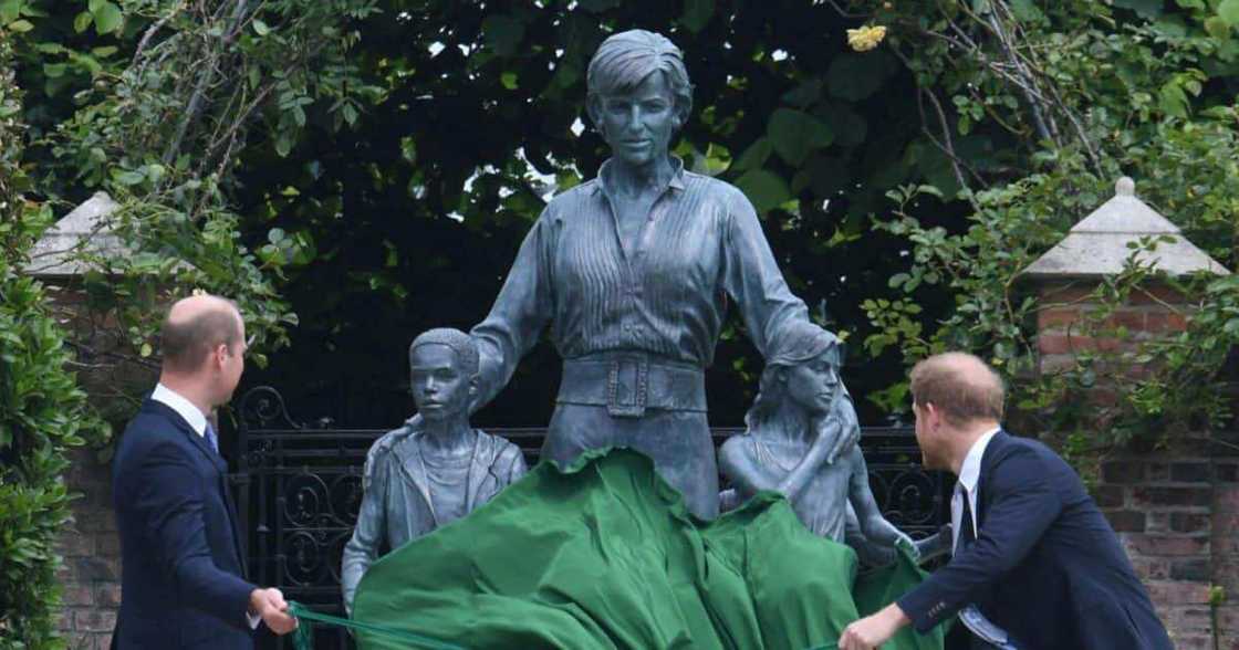 A photo of Prince Harry and Prince William unveiling the statue of Princess Diane. A photo of Prince Harry and Prince William unveiling the statue of Princess Diane.