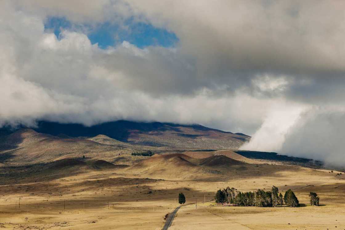 Volcanic landscape in Hawaii