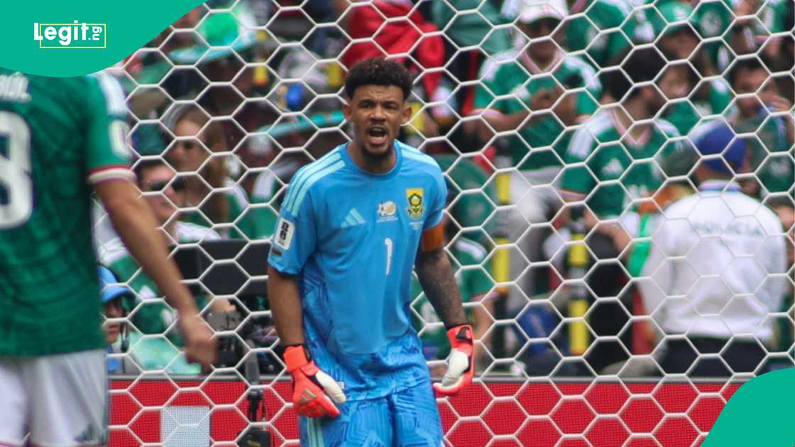 Ronwen Williams, Bafana Bafana, South Africa, Mexico, 2026 FIFA World Cup.