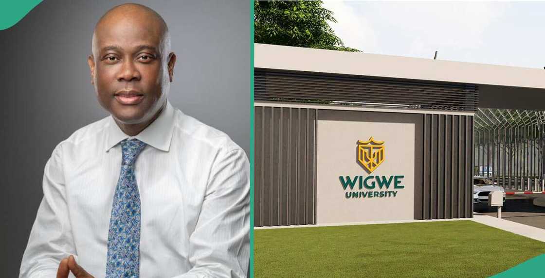 Wigwe University releases 2024/2025 scholarship list: Successful candidates announced Wigwe University releases 2024/2025 scholarship list: Successful candidates announced