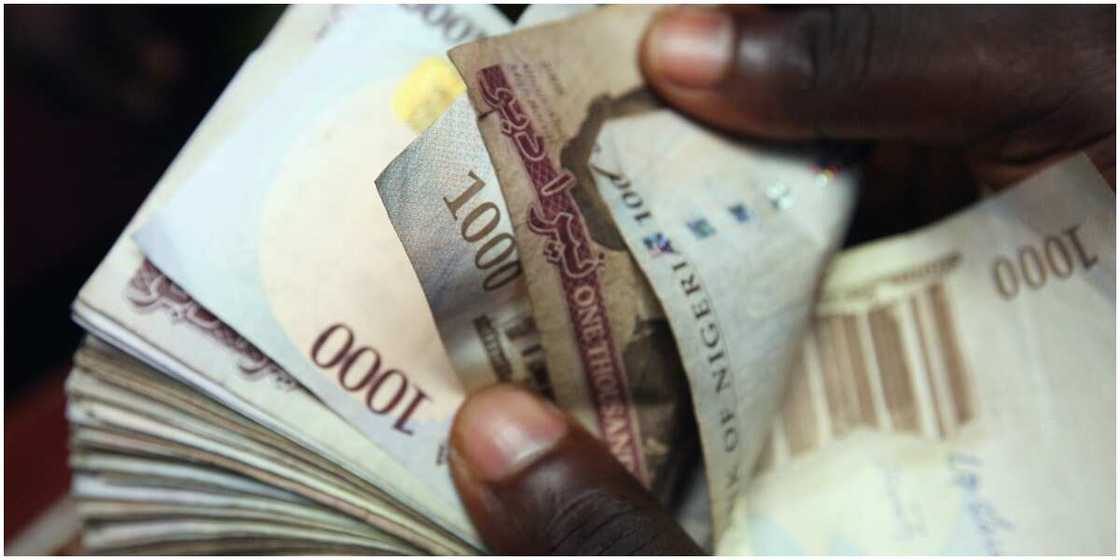 Conoil, Briscoe, Omatek, Others Fined over N1billion by Stock Market Authority Conoil, Briscoe, Omatek, Others Fined over N1billion by Stock Market Authority