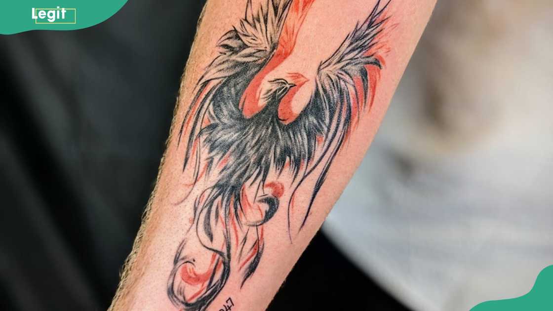 Phoenix tattoo