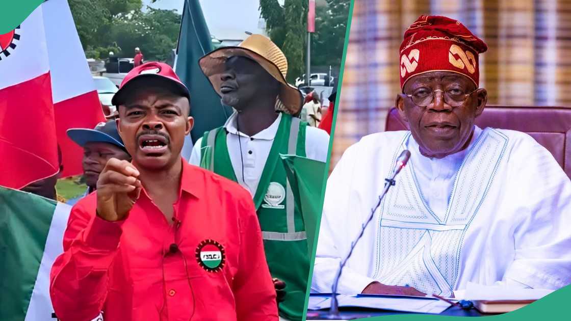 Fuel price hike: NLC says Tinubu betrayed labour into accepting N70k wage Fuel price hike: NLC says Tinubu betrayed labour into accepting N70k wage