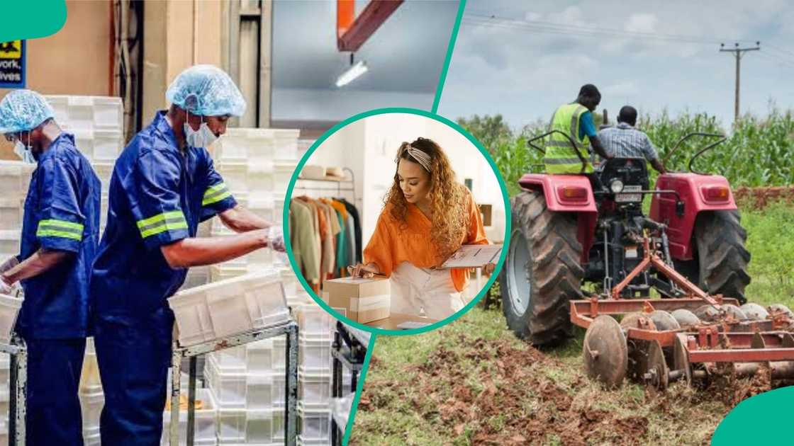 NACCIMA Opens Applications for $150 Million Business Loan, Offers Single-Digit Interest Financing