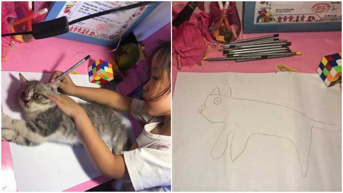 Funny photos of kid who used live cat to make sketch go viral, many 'praised' her act Funny photos of kid who used live cat to make sketch go viral, many 'praised' her act