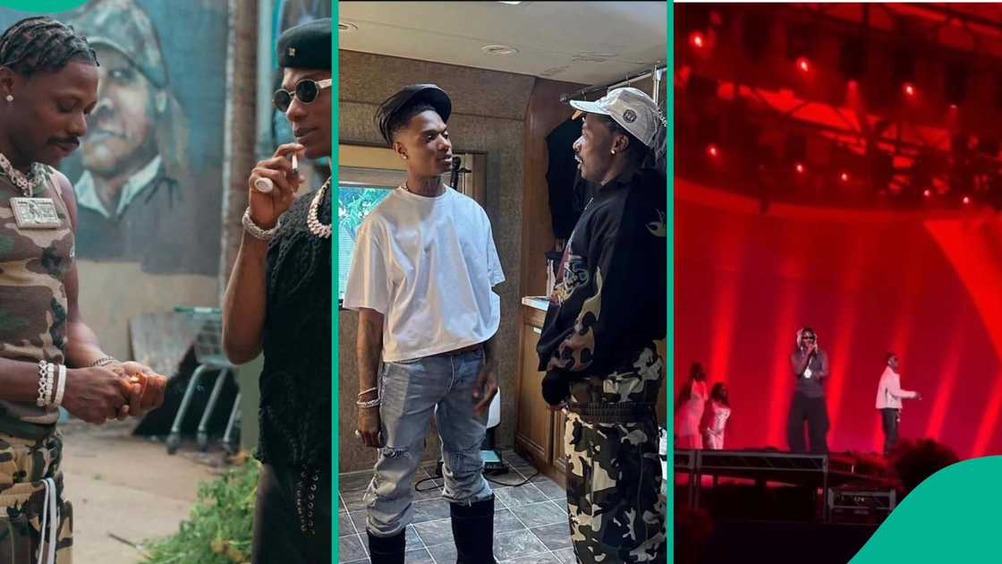 Fans were left in awe during Wizkid and Asake's performance. Photos: @wizkidnews/IG. Fans were left in awe during Wizkid and Asake's performance. Photos: @wizkidnews/IG.