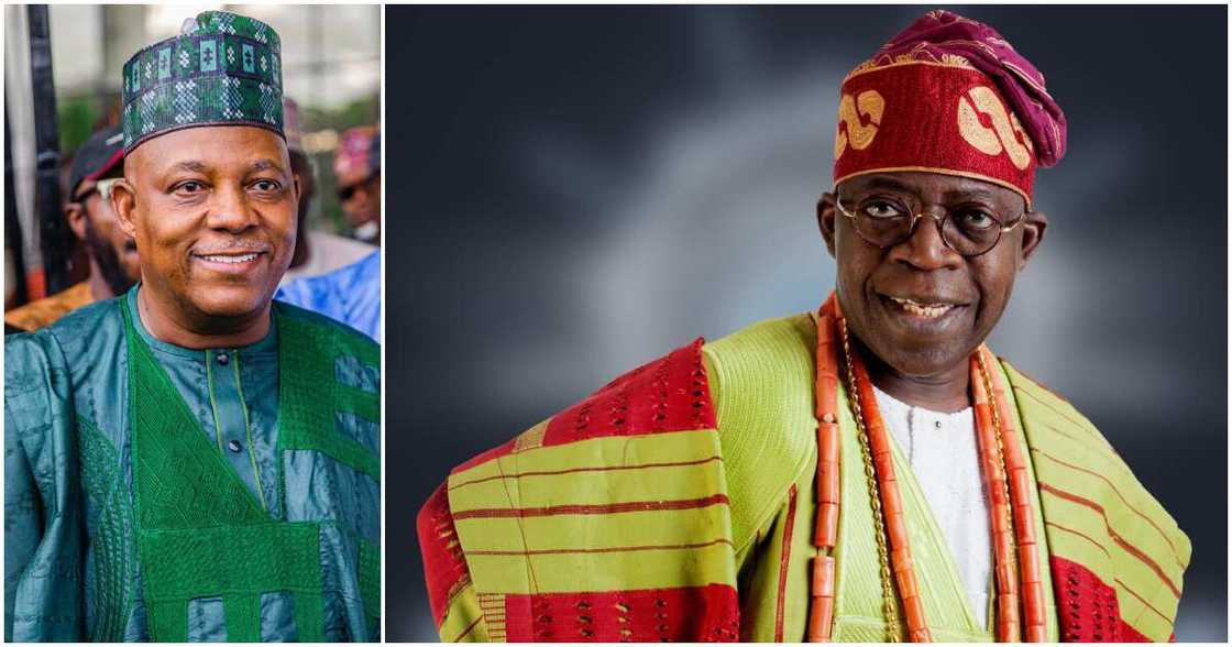 Bola Tinubu, Kashim Shettima, 2023 election, APC, PDP Bola Tinubu, Kashim Shettima, 2023 election, APC, PDP