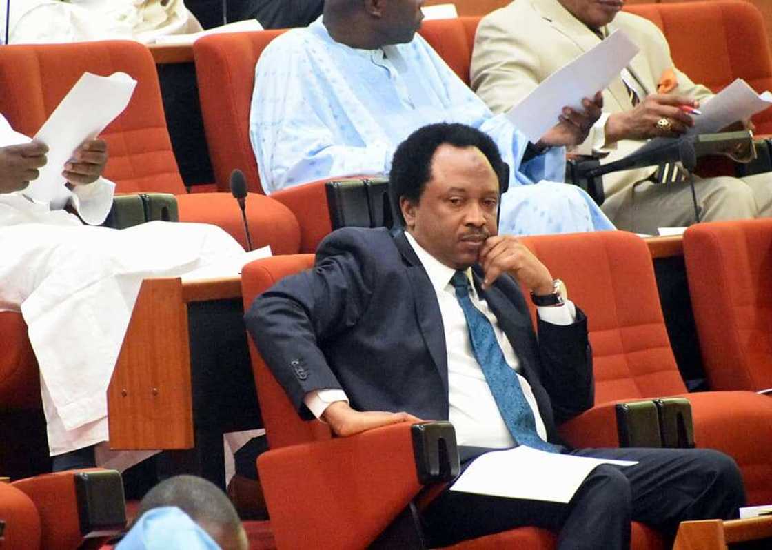 Shehu Sani, Senate, President, Muhammadu Buhari, Rotimi Amaechi, Transportation Ministry