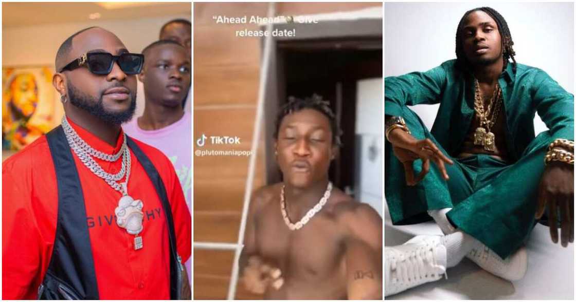 Photos of Davido, Shallipopi and Logos Olori Photos of Davido, Shallipopi and Logos Olori