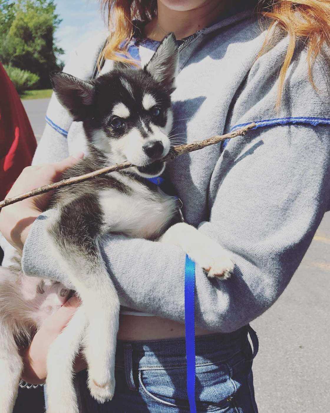 Sophie Turner and Joe Jonas Sophie Turner and Joe Jonas