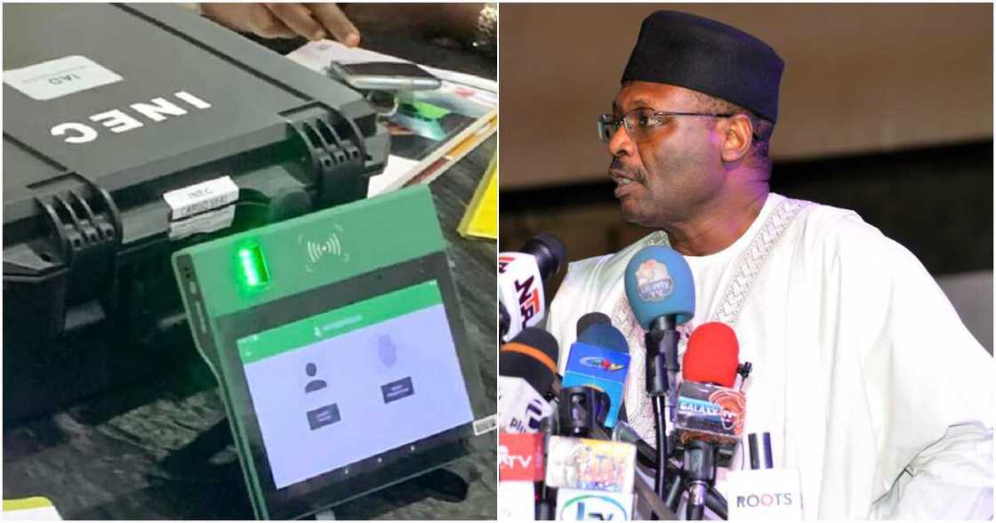 INEC, BVAS, Peter Obi, Labour Party, Bola Tinubu