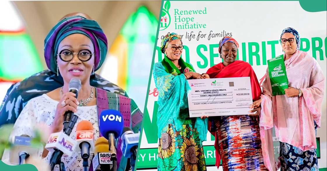 Borno farmer wins RHI’s #EveryHomeAGarden competition’s N25m