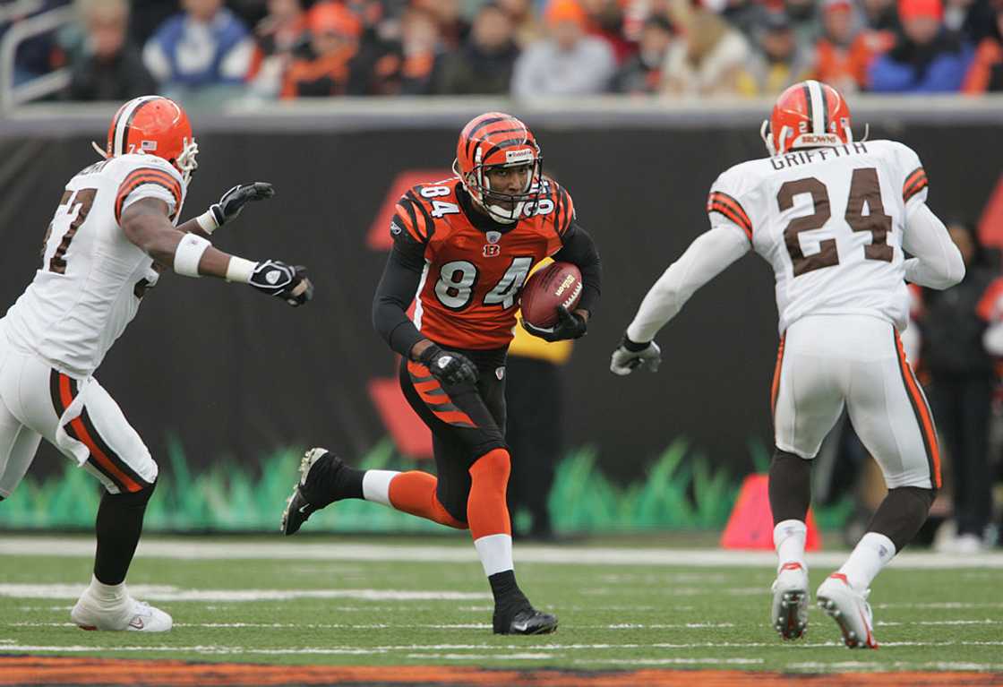 Wide receiver T.J. Houshmandzadeh #84 of the Cincinnati Bengals is pressured by defensive back Robert Griffith #24 of the Cleveland Browns at Paul Brown Stadium