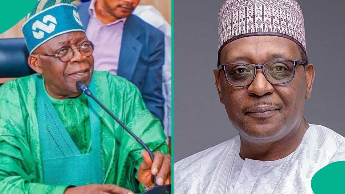 National Health Fellows serve communities across all Local Government Areas in Nigeria.