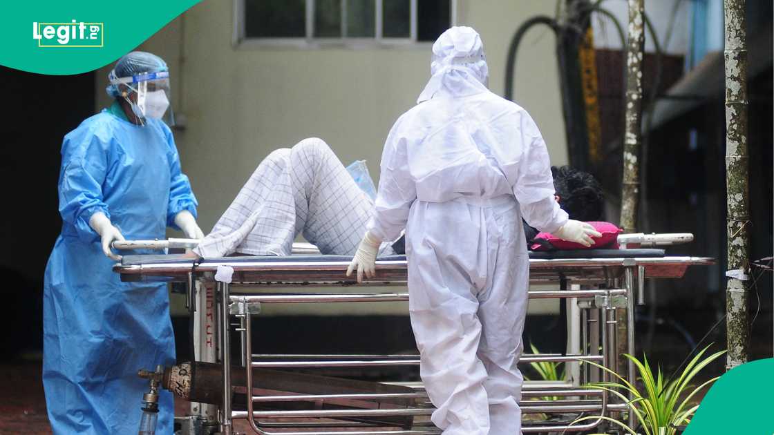 An samu bullar sabuwar cutar da ke da matukar hadari An samu bullar sabuwar cutar da ke da matukar hadari