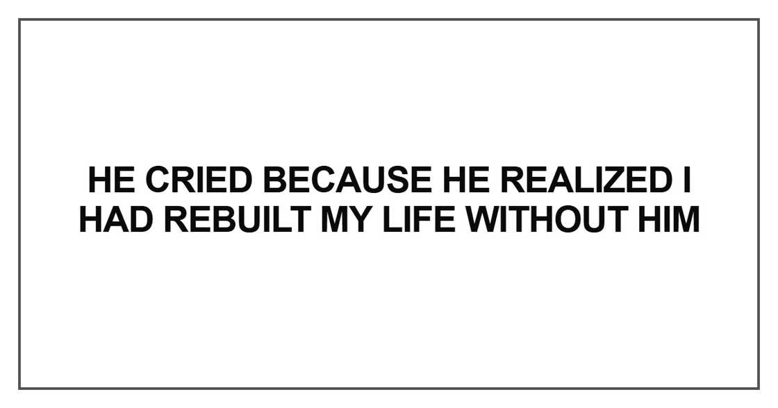 He cried because he realized I had rebuilt my life without him He cried because he realized I had rebuilt my life without him