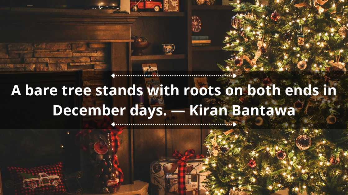 Blessed December quotes Blessed December quotes