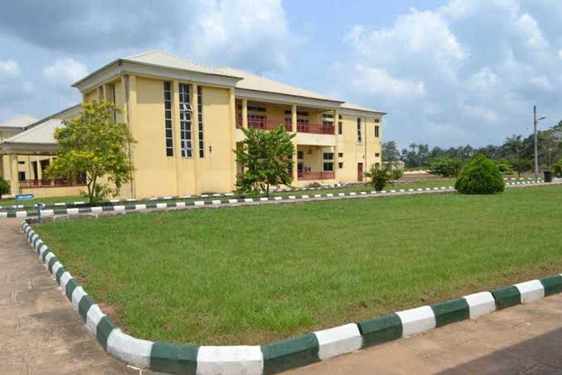 No JAMB? No Problem! Discover Easy Admission at Hezekiah University