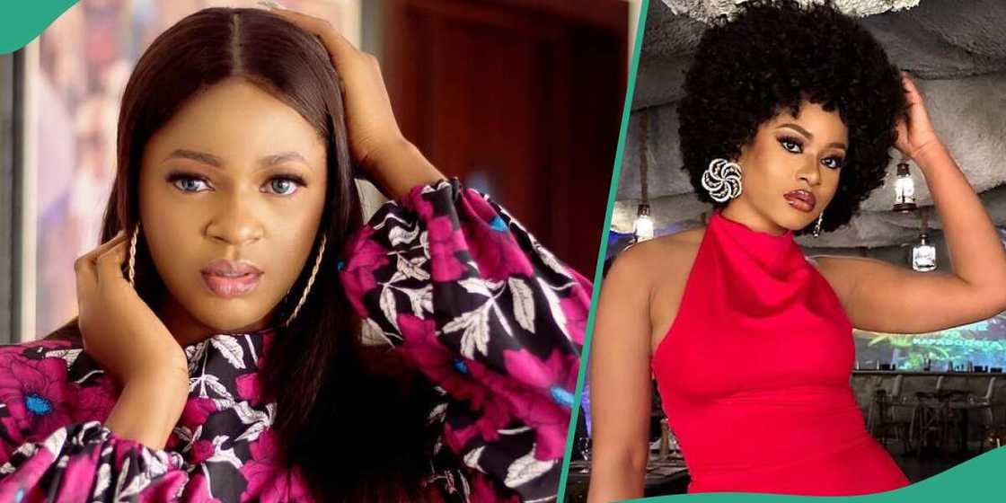 BBNaija's Ahneeka tackles Phyna for calling out Multichoice BBNaija's Ahneeka tackles Phyna for calling out Multichoice