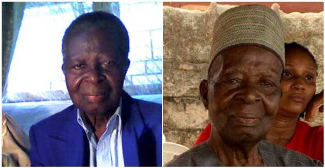 Daniel Omoigui Daniel Omoigui