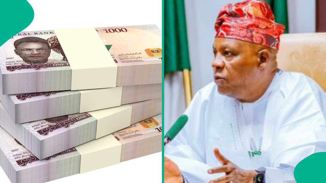 When combined, the Vice President’s total annual earnings amount to ₦12,126,290 When combined, the Vice President’s total annual earnings amount to ₦12,126,290