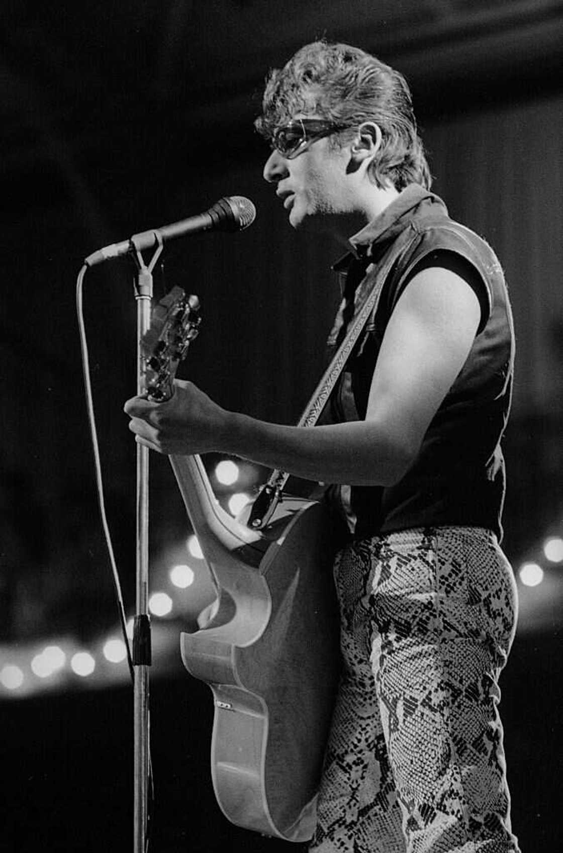 Le chanteur français Alain Bashung. Le chanteur français Alain Bashung.