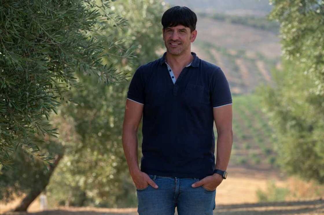 Expert Juan Carlos Hervas said olive trees stop bearing fruit when droughts become extreme Expert Juan Carlos Hervas said olive trees stop bearing fruit when droughts become extreme
