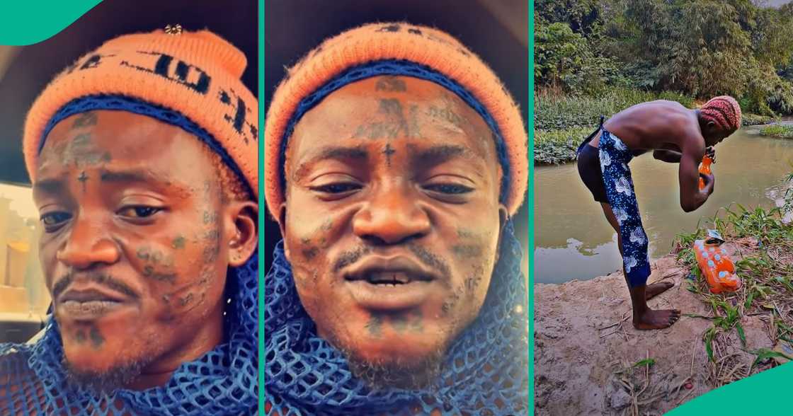 Portable Zazu shares new video. Portable Zazu shares new video.