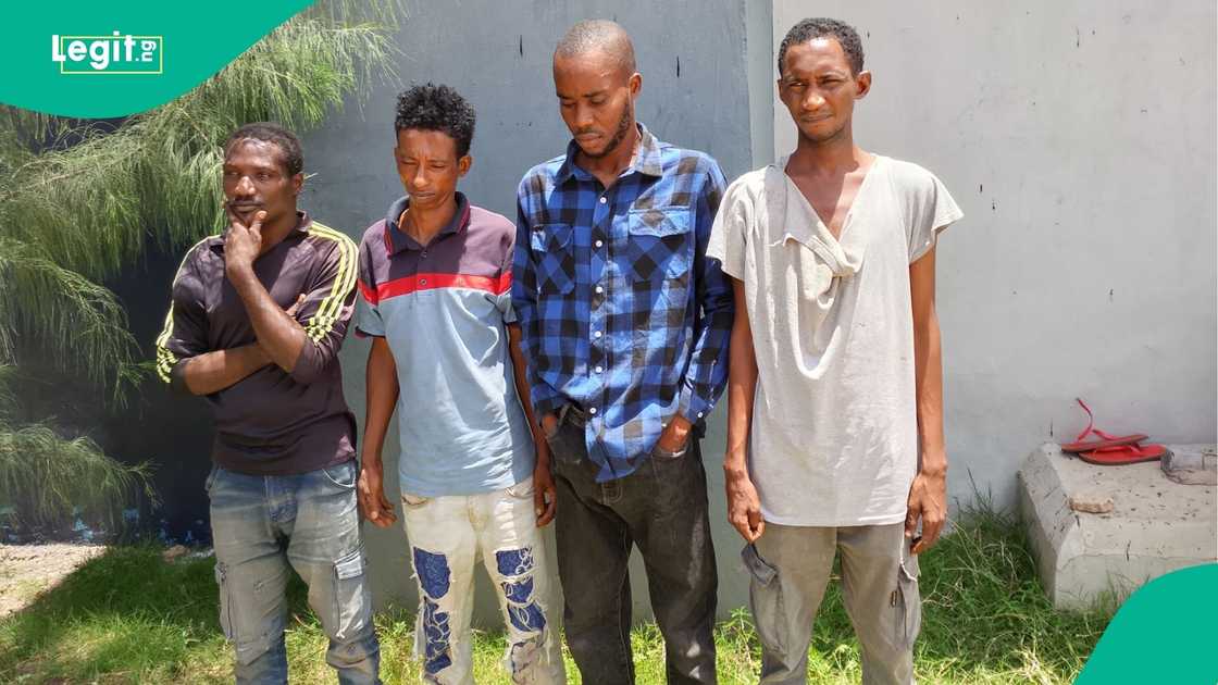 Adamawa police arrest several suspects in disturbing sexual abuse cases across multiple communities Adamawa police arrest several suspects in disturbing sexual abuse cases across multiple communities