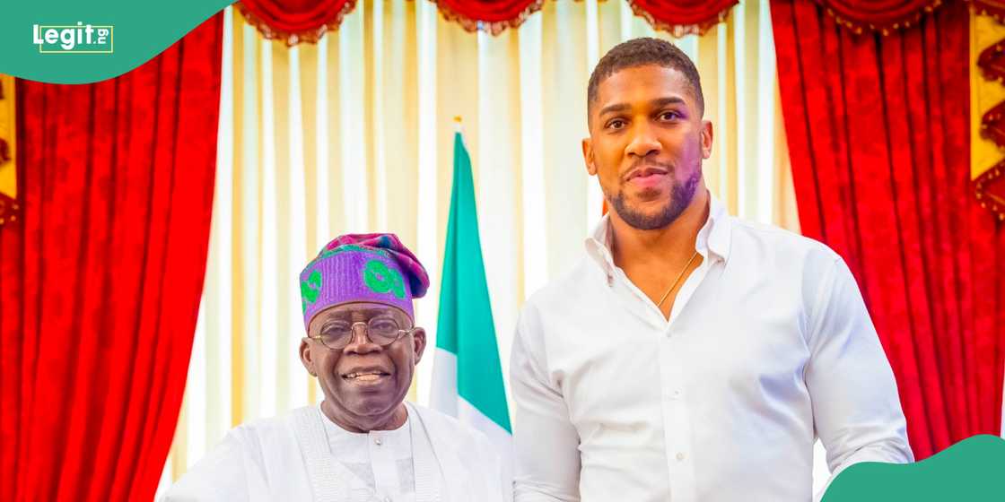 President Bola Tinubu hosts Anthony Joshua