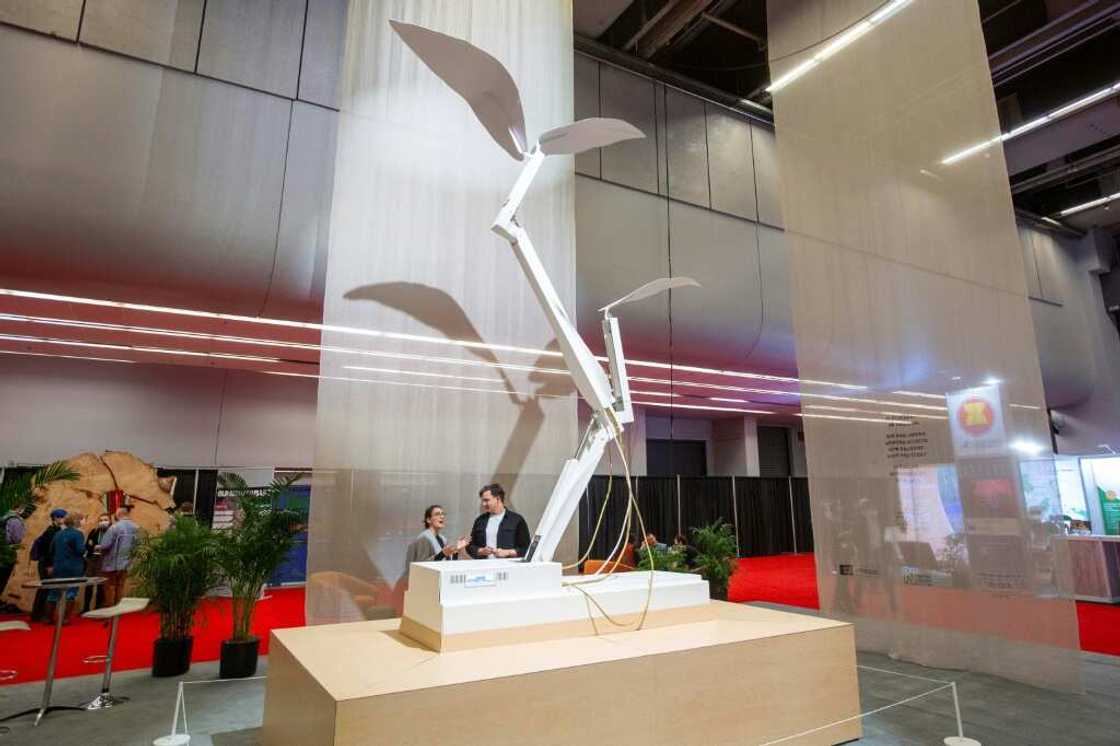 A 5.5-meter (18 feet) tall artwork took a year to build from recycled steel and is currently on display in Montreal Convention Centre, keeping policymakers at the COP15 meeting on their toes as they attempt to hammer out a nature deal A 5.5-meter (18 feet) tall artwork took a year to build from recycled steel and is currently on display in Montreal Convention Centre, keeping policymakers at the COP15 meeting on their toes as they attempt to hammer out a nature deal