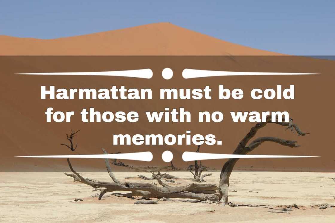 funny harmattan quotes