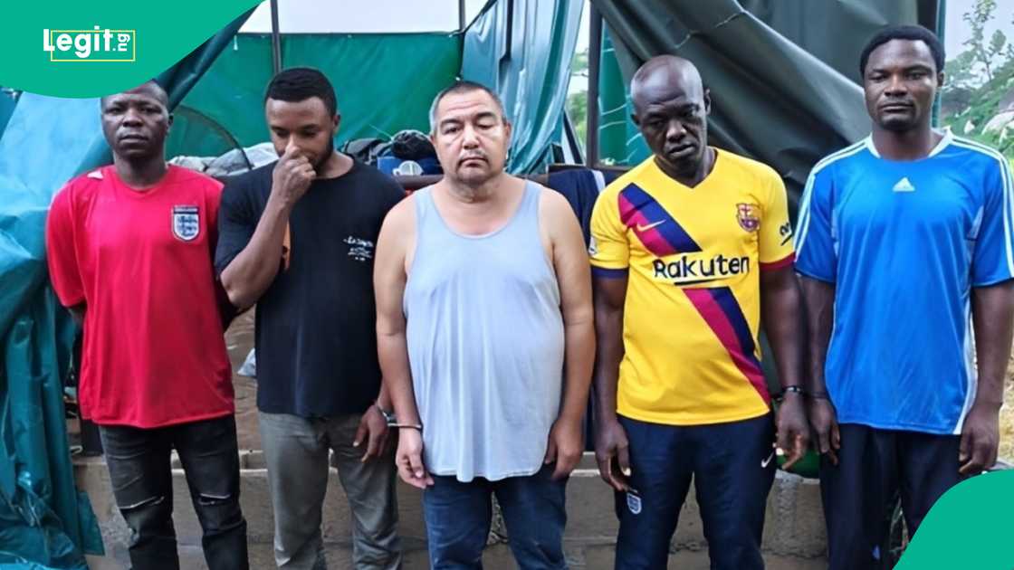 NDLEA uncovers industrial scale clandestine meth laboratory in Oyo forest