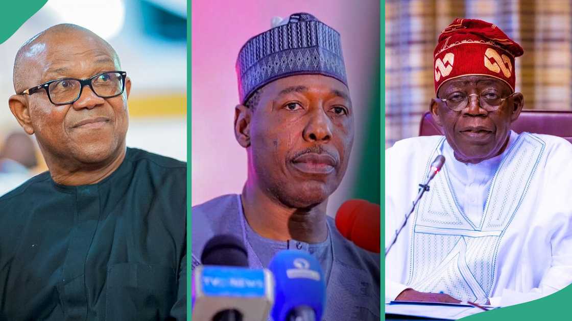 Peter Obi reacts as Borno gov Zulum raises alarm Peter Obi reacts as Borno gov Zulum raises alarm