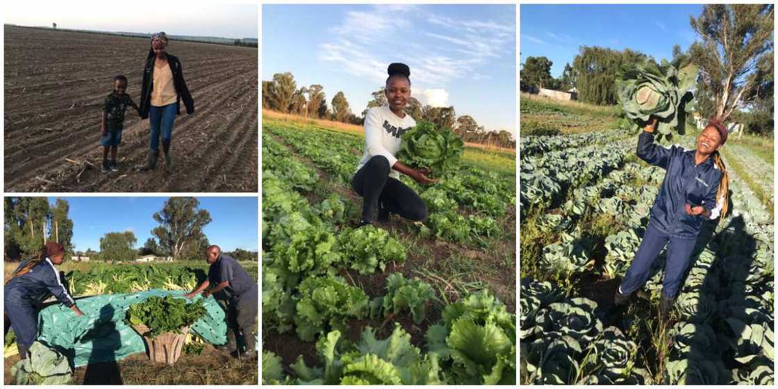 Meet 26-Year-Old Lady Who Runs Two Farms and Has 16 Employees, Her Story Will Inspire You Meet 26-Year-Old Lady Who Runs Two Farms and Has 16 Employees, Her Story Will Inspire You