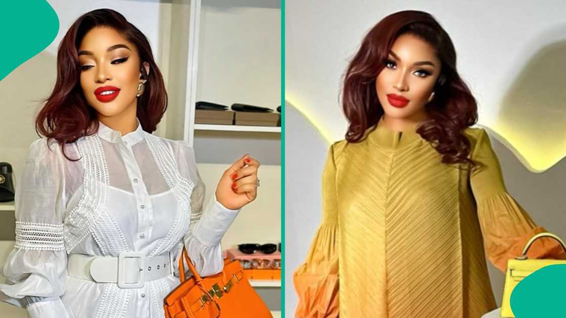 Tonto Dikeh buys pet dog for $4000 (N6.8 million) Tonto Dikeh buys pet dog for $4000 (N6.8 million)