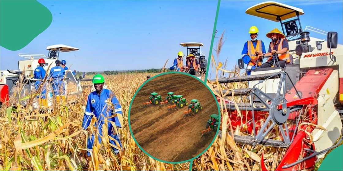 Gwamna Bago a gona a damunar 2024 Gwamna Bago a gona a damunar 2024