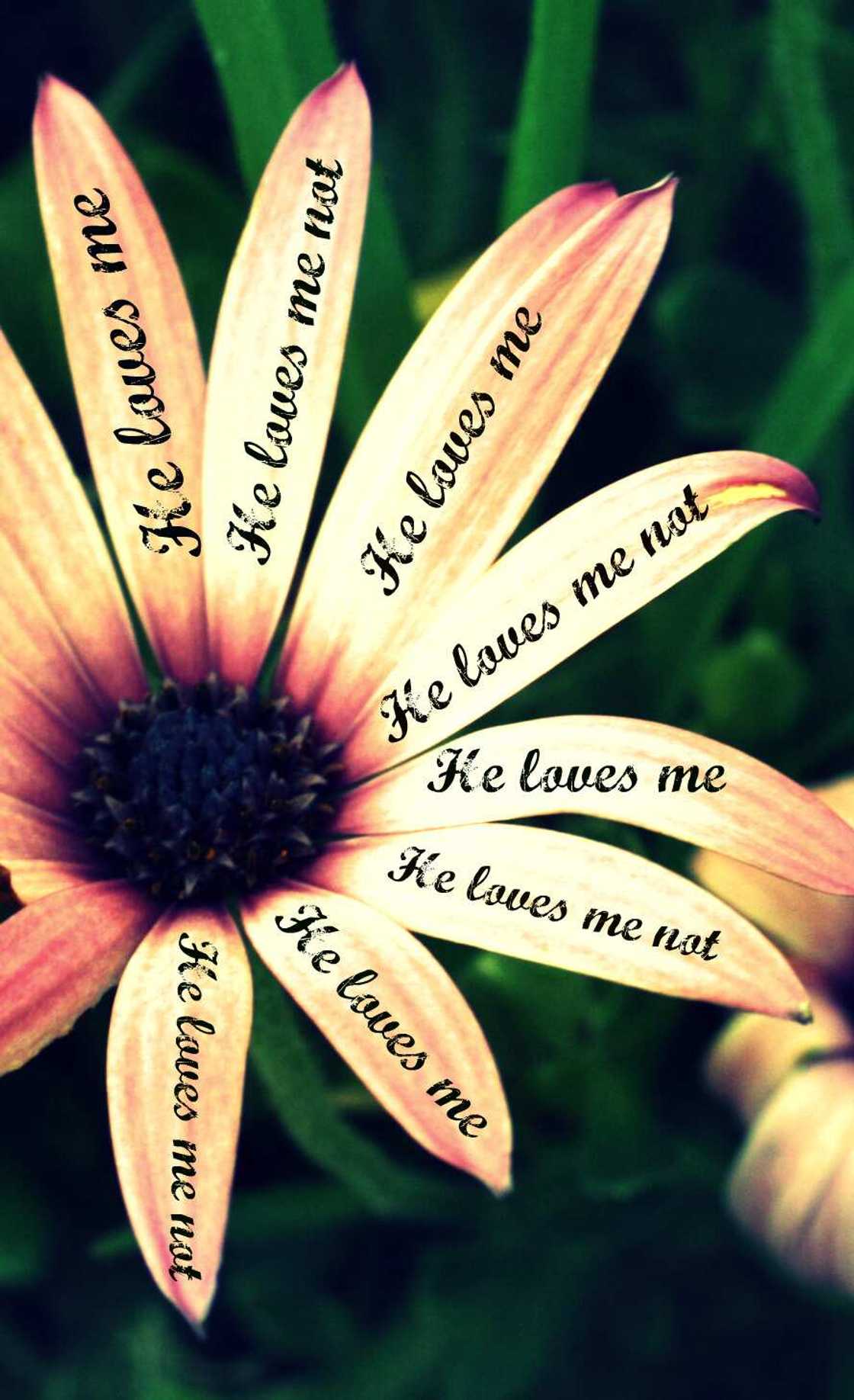 How to know if your ex still loves you How to know if your ex still loves you