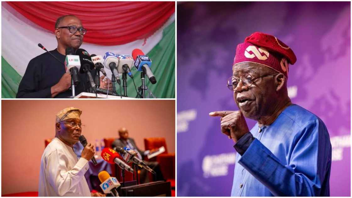 Peter Obi, Bola Tinubu, PDP, Labour Party, Atiku Abubakar, APC, 2023 presidential election, Fitch report Peter Obi, Bola Tinubu, PDP, Labour Party, Atiku Abubakar, APC, 2023 presidential election, Fitch report