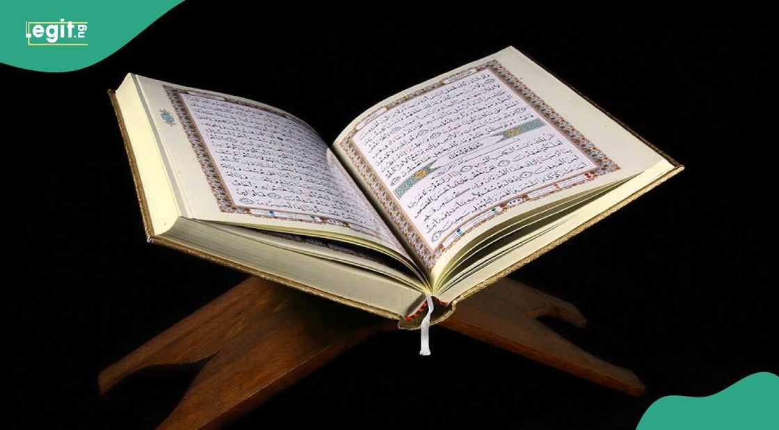 Outrage grows as US House candidate sparks religious tension by setting Islamic holy book ablaze. Outrage grows as US House candidate sparks religious tension by setting Islamic holy book ablaze.