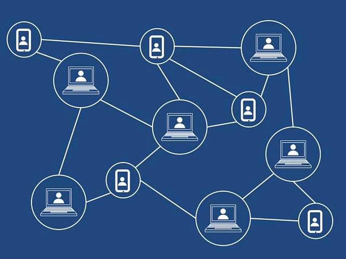 The Top 5 Best Decentralized Exchanges to Invest in this Year The Top 5 Best Decentralized Exchanges to Invest in this Year