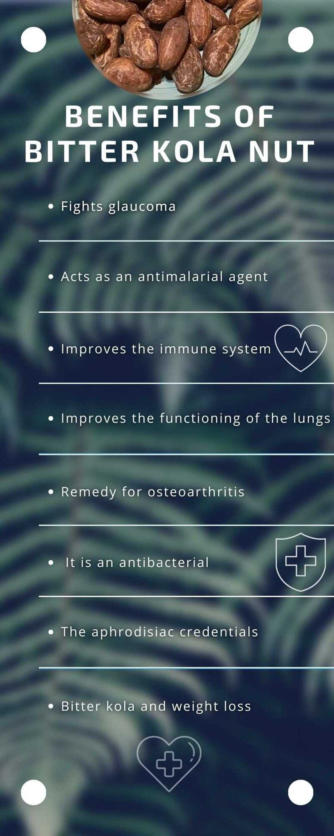 Bitter kola benefits and disadvantages Bitter kola benefits and disadvantages