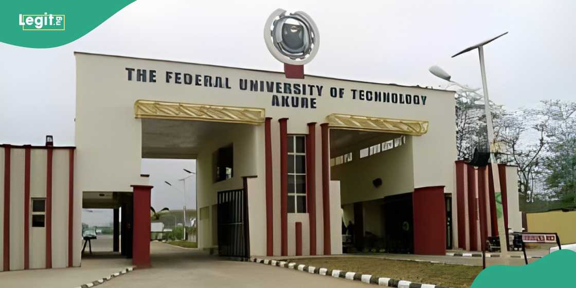 16-year-old FUTA student wins national essay competition 16-year-old FUTA student wins national essay competition